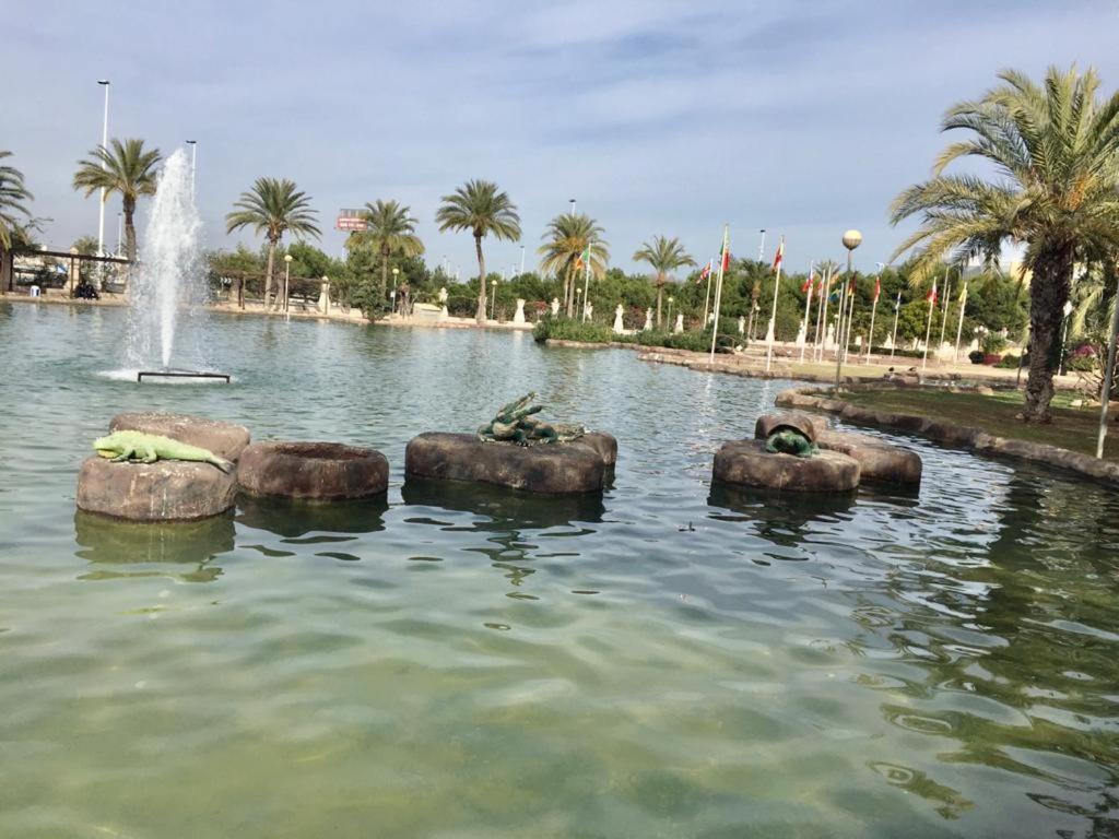 Apartamento Felix De La Fuente Torrevieja Luaran gambar